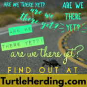 turtleherding.com