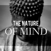 Nature of Mind